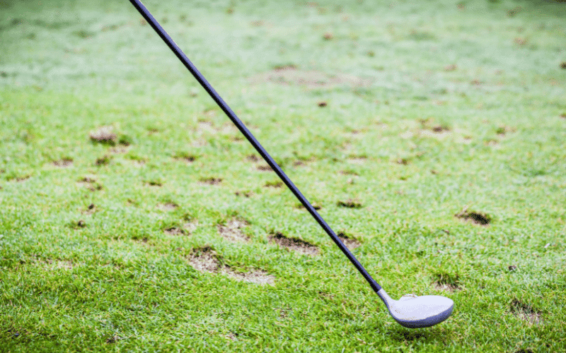 3 vs 4 Hybrid Picking the Ideal Club Distance Fairway Tips and News