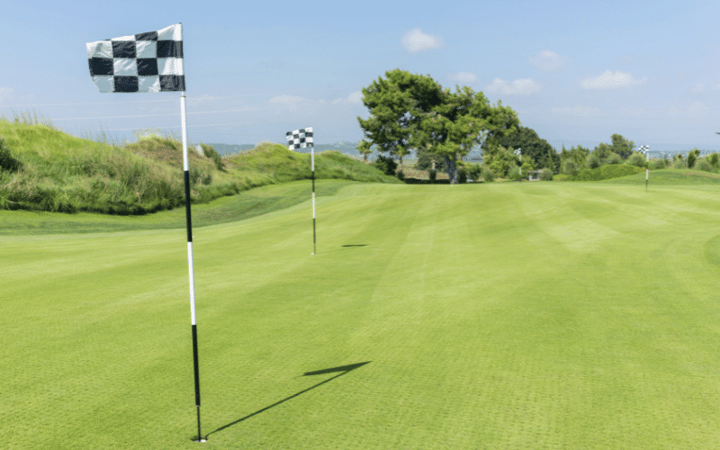 Golf Strategies in Windy Conditions